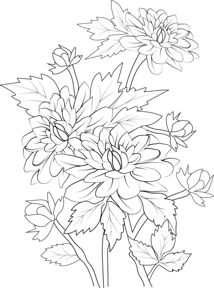 dahlia blomma teckning, gren av botaniska samling, graverat bläck konst näckros dahlia bukett, ritad för hand vår element konstnärligt, zen härva tatuering, lätt blommor färg sidor. vektor