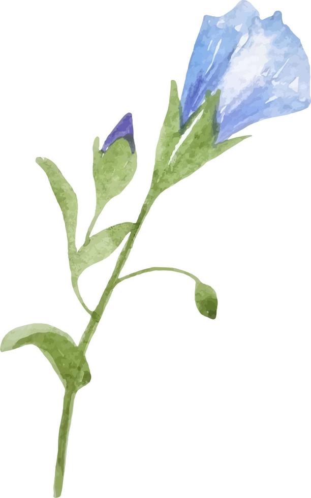 vattenfärg blå blomma Linné stängd ClipArt isolerat på vit vektor