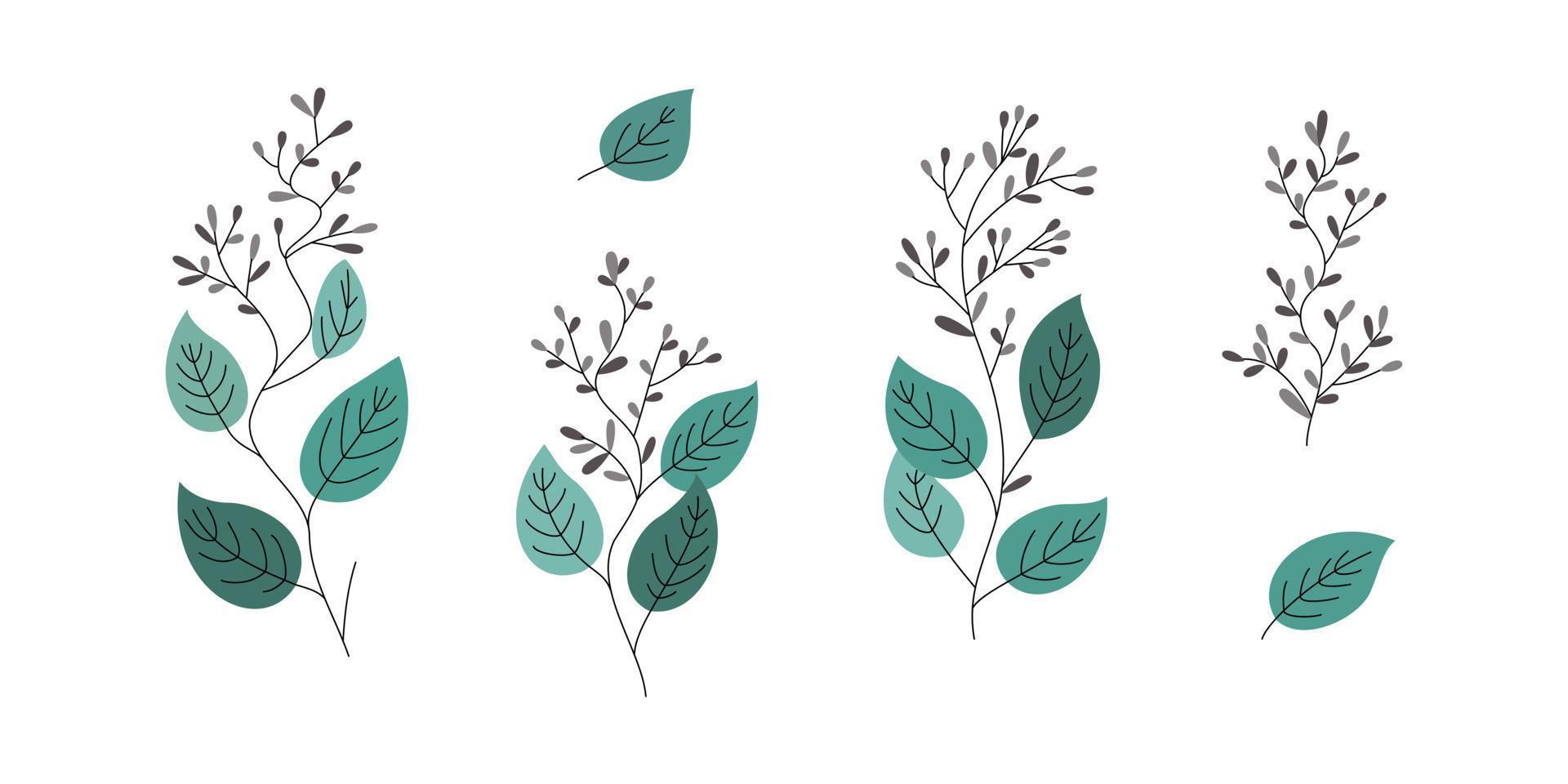 samling av eukalyptus växt och blomma illustration för natur design element vektor