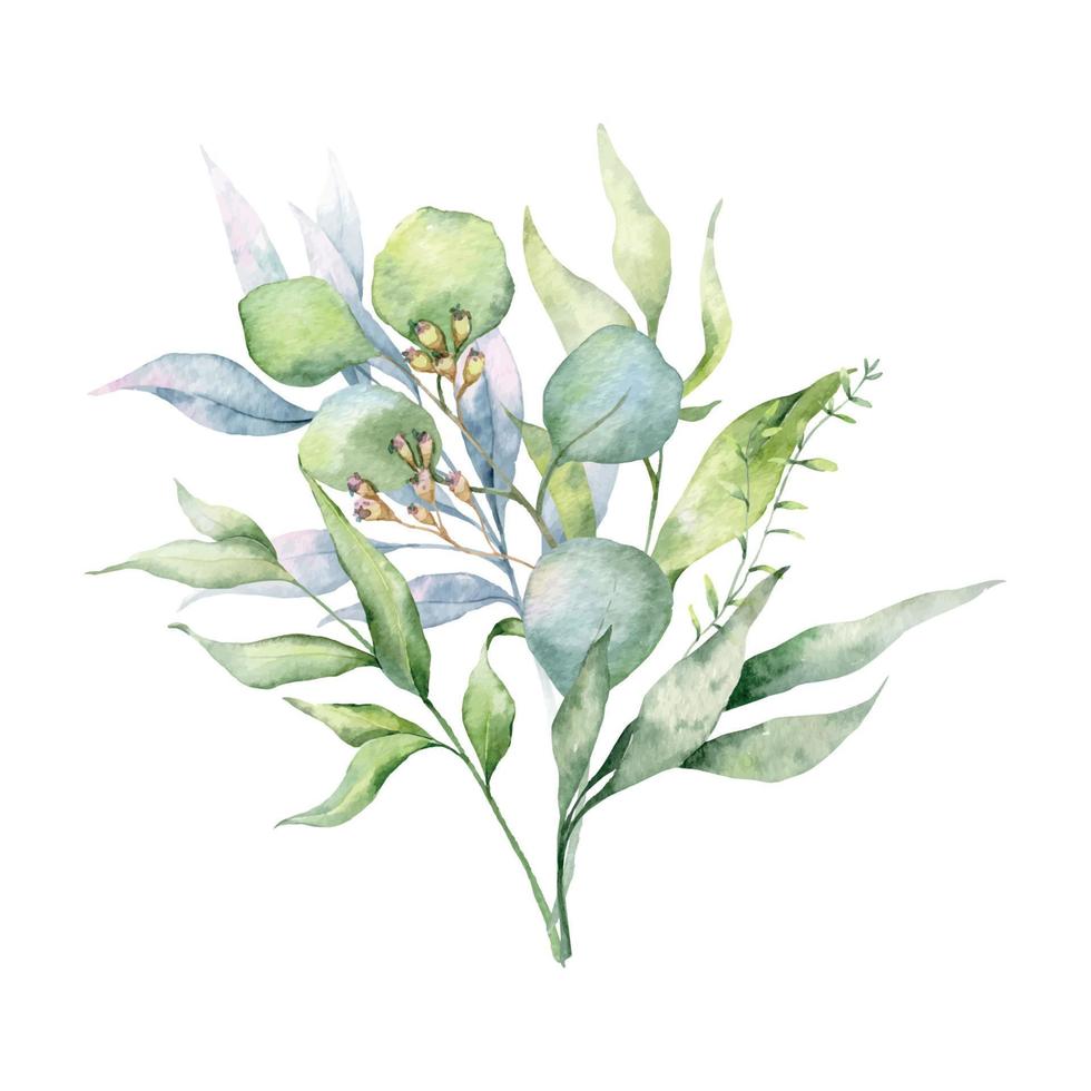 eukalyptus bukett vattenfärg, blommig bukett, grönska arrangemang, blommig arrangemang, grön löv sammansättning vektor