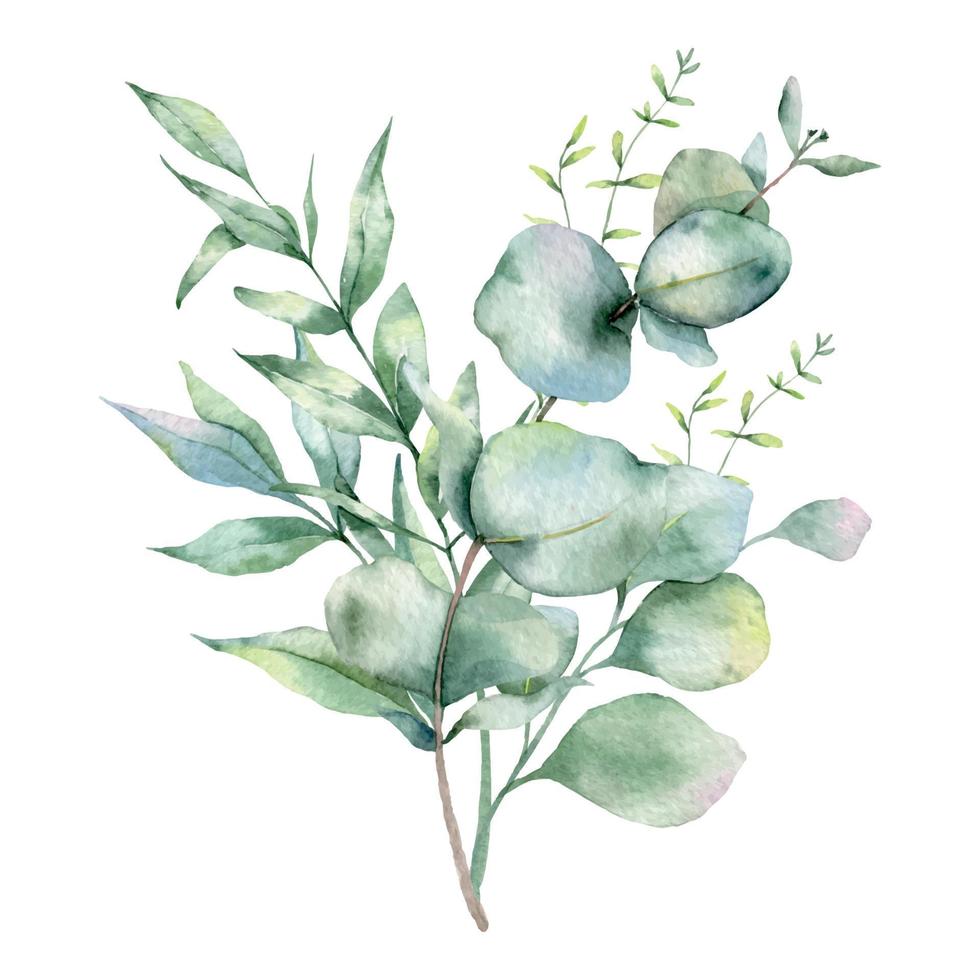 eukalyptusblumenstrauß aquarell, blumenstrauß, grünanordnung, blumenanordnung, grüne blattzusammensetzung vektor