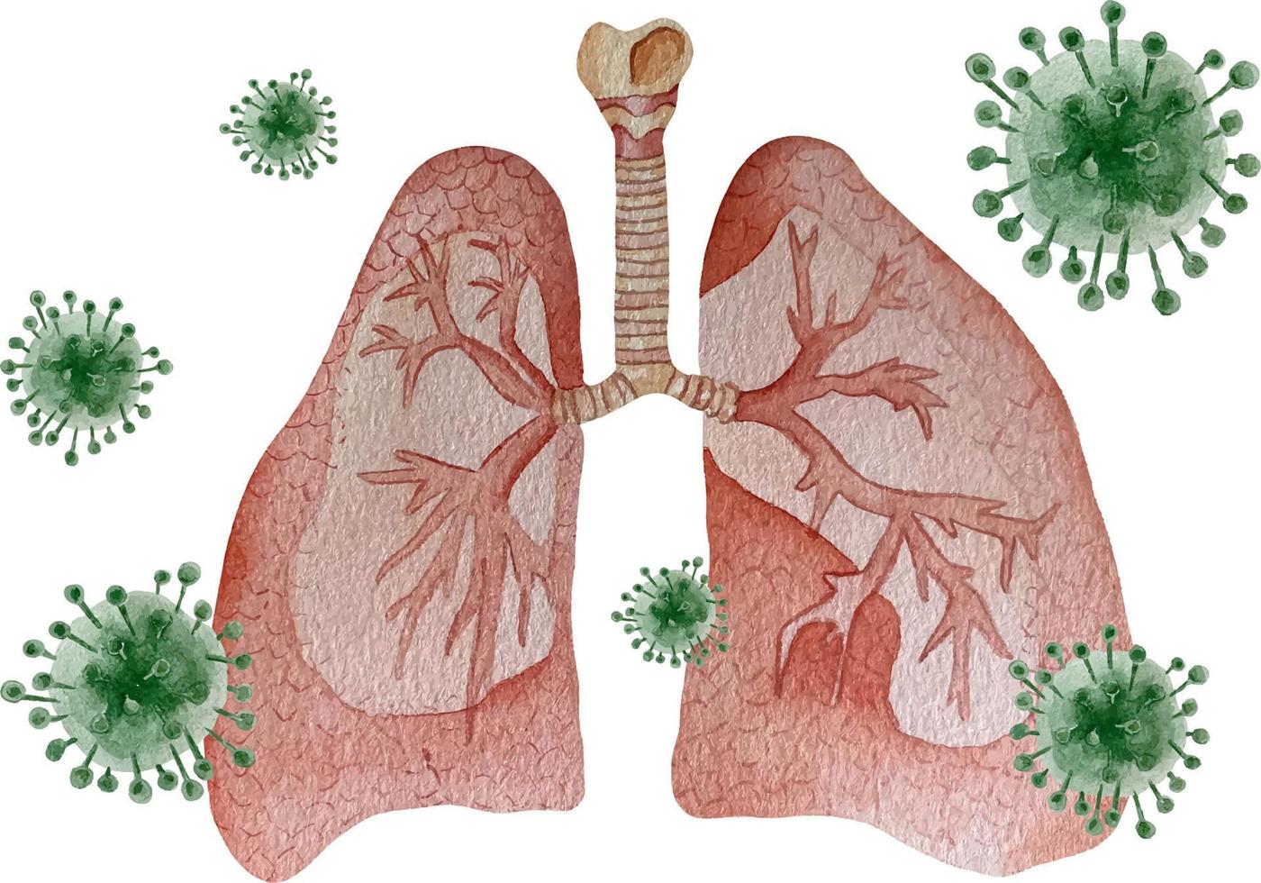 aquarell menschliche lunge mit viren vektor