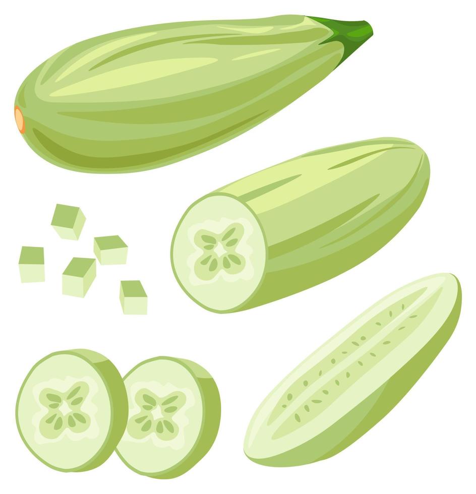 reifes zucchinigemüse, geschnittener vegetarischer mahlzeitvektor vektor