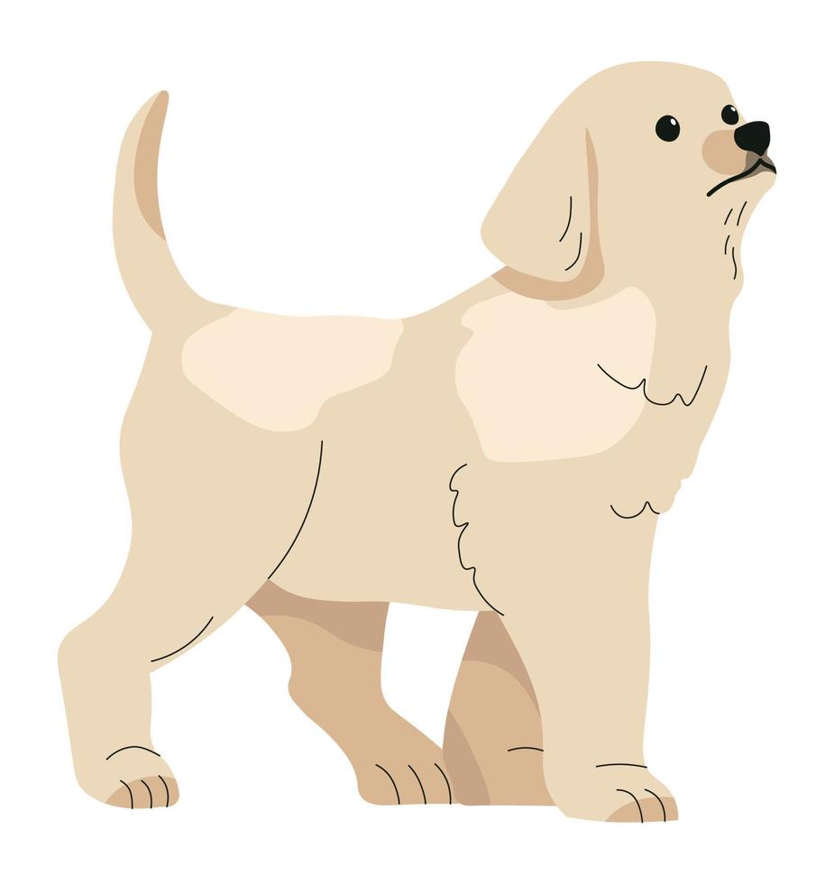 Labrador-Welpen, Hunde, Haustiere vektor