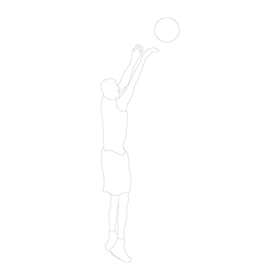 basketboll logotyp Vektor