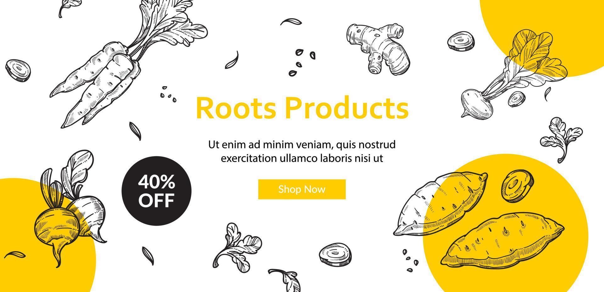 Wurzelprodukte saisonale Lebensmittel zum Verkauf Online-Shop vektor