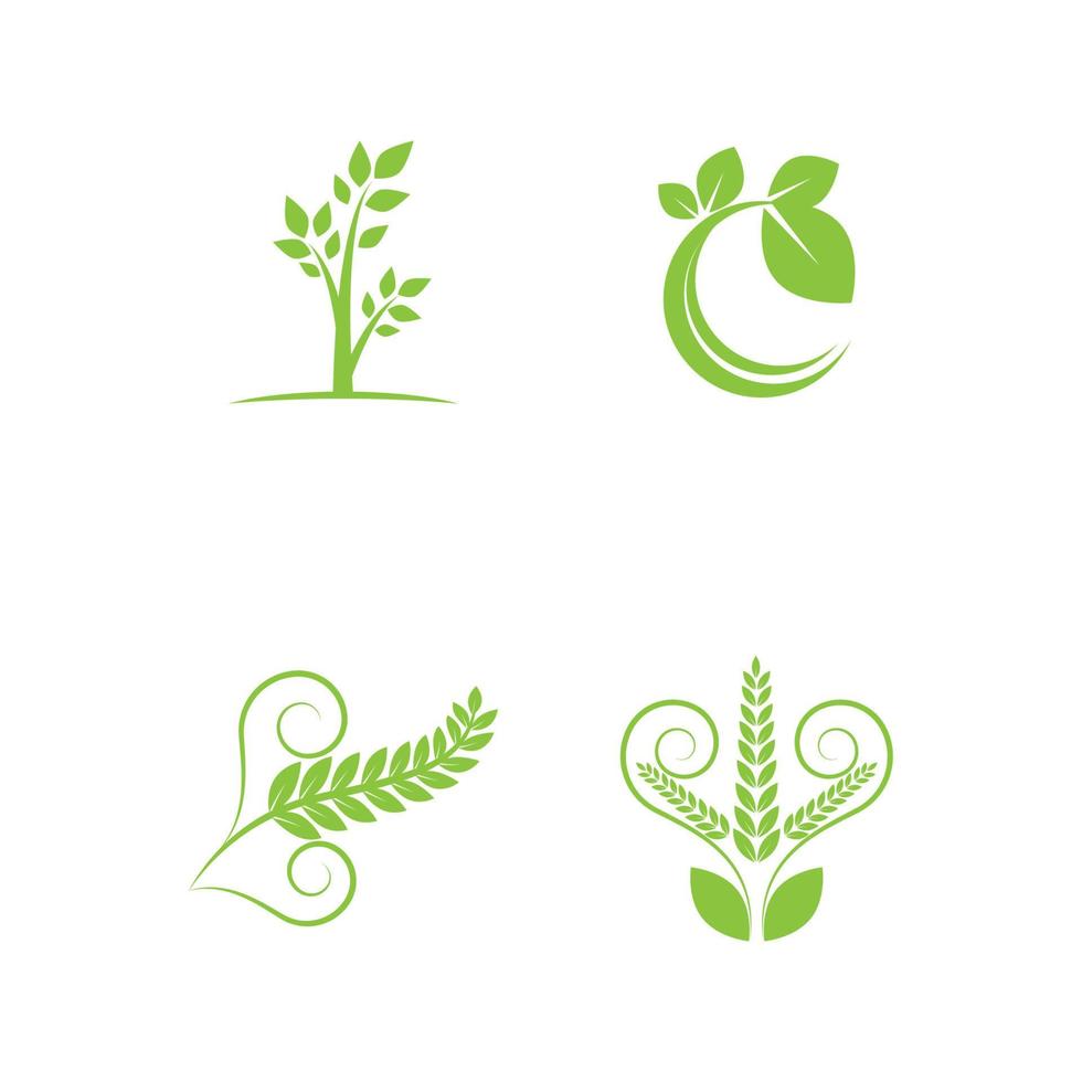Blatt- und Blendenöffnung für Logodesign-Inspiration für Naturfotografen vektor