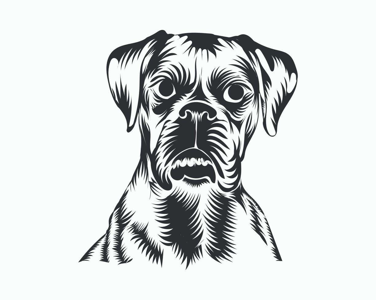 Boxer-Hund-Vektor-Illustration, Boxer-Hund-Vektor auf weißem Hintergrund vektor