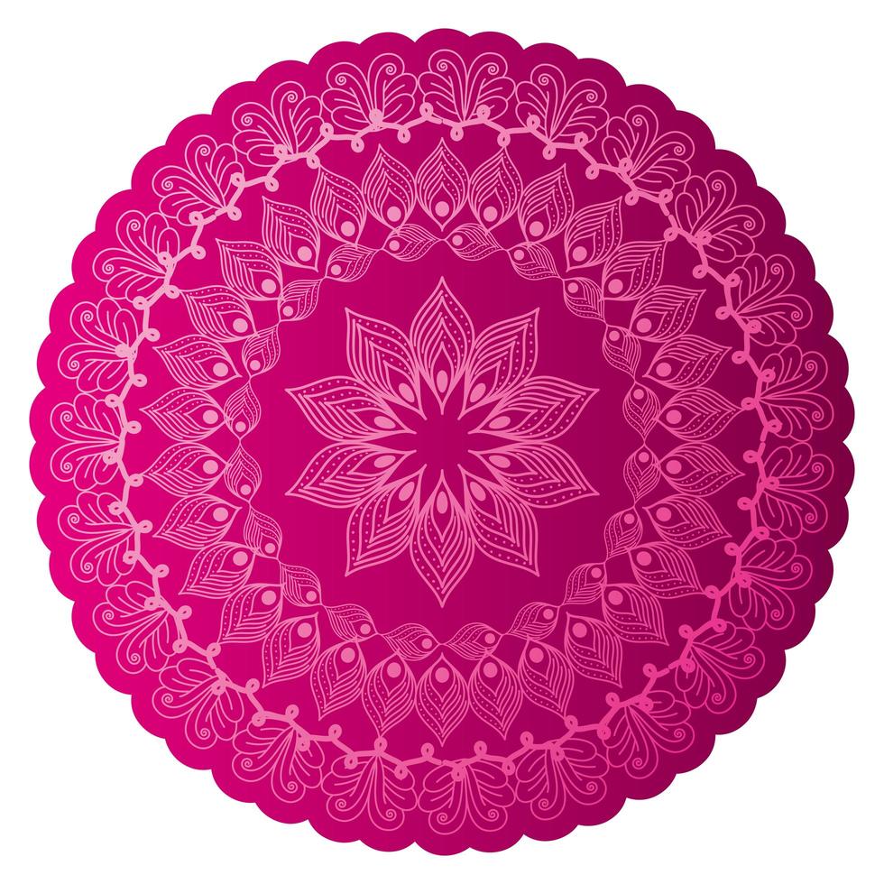 Mandala der Farbe Rosa mit einem weißen Hintergrund vektor