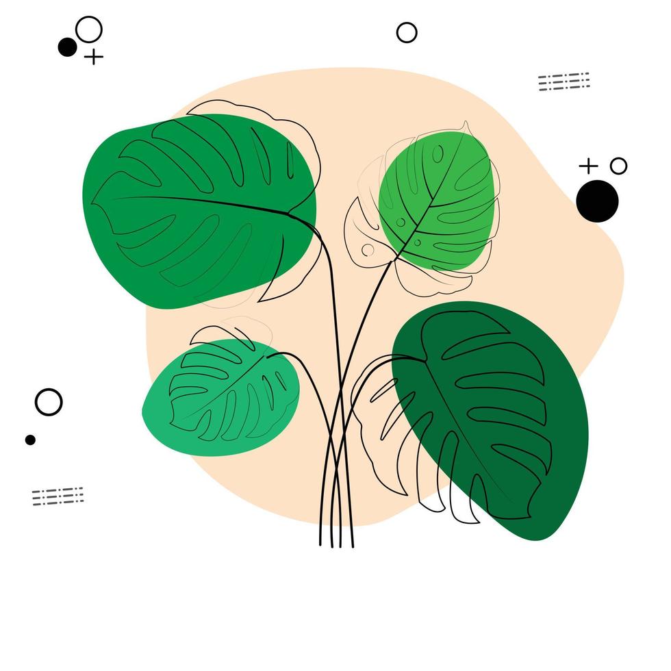 das design ist trendy und exotisch für das blatt monstera grün der natur im sommerlichen botanischen dschungel für den bannerhintergrund, die dekoration, den rahmen und zur illustration. vektor