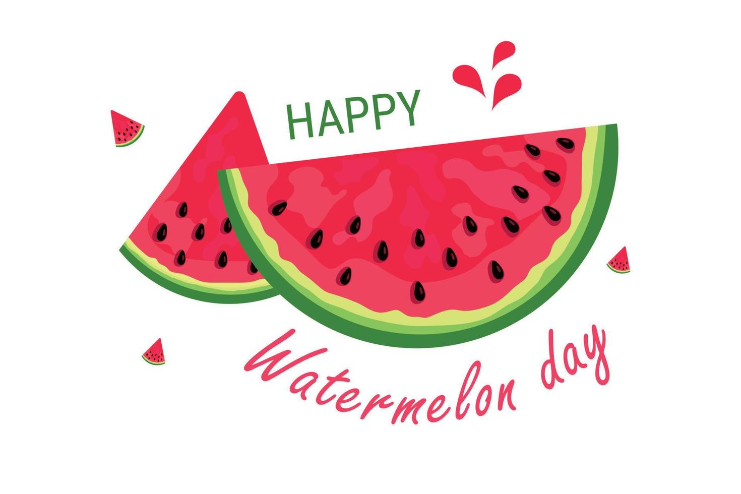 vattenmelon dag. de tredje av augusti. folder, affisch, baner, vykort, broschyr design mall. skivor av vattenmelon. de textur av en vattenmelon med ben. de namn av de händelse. vektor