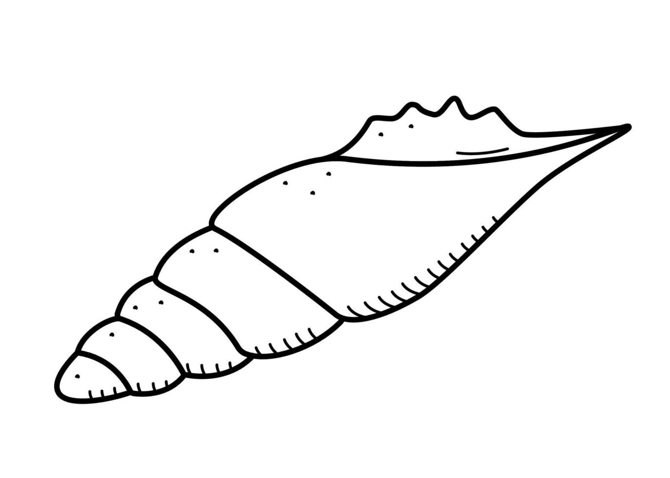 Muschel, einzelnes Isolat auf einem weißen Hintergrund. Vektor-Illustration einer Shell-Doodle-Skizze. vektor