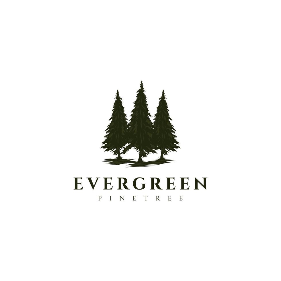 Immergrün, Wald, Zedern, Fichte, Kiefern Logo Design Vektorvorlage vektor