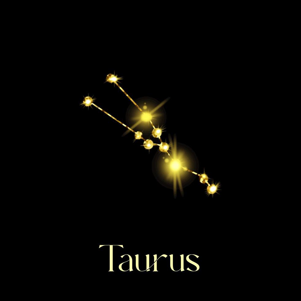 horoskop taurus konstellationer av de zodiaken tecken från en gyllene textur på en svart bakgrund vektor