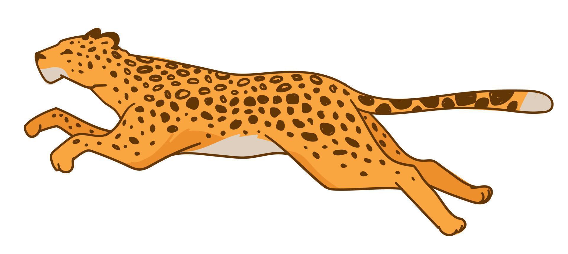 laufendes Leoparden- oder schnelles Geparden-Raubtier vektor