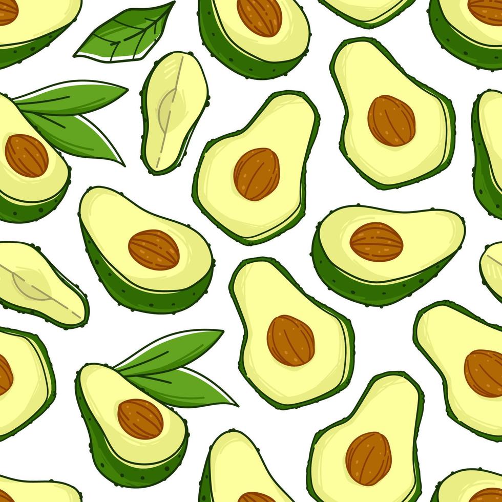 avocado reife früchte und samen und blätter muster vektor