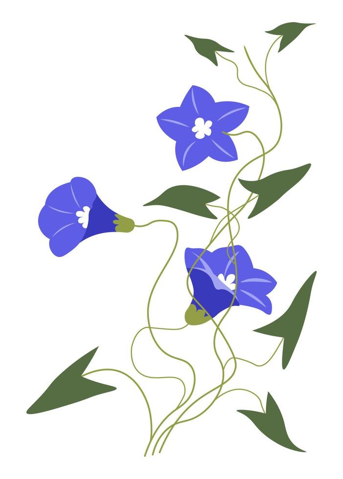 blå petunia eller alstroemeria blomma i blomma vektor