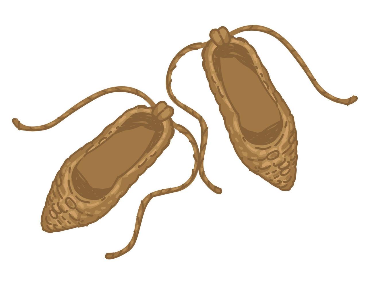 prähistorische Schuhe aus Stroh, altes Schuhwerk vektor