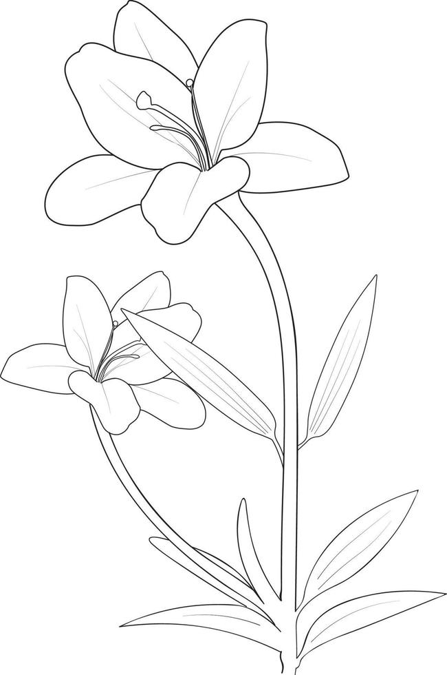 Lilienblütenblumen und Zweigvektorillustration. handzeichnung vektorillustration für das malbuch oder die seite schwarz-weiß gravierte tintenkunst, für kinder oder erwachsene. vektor