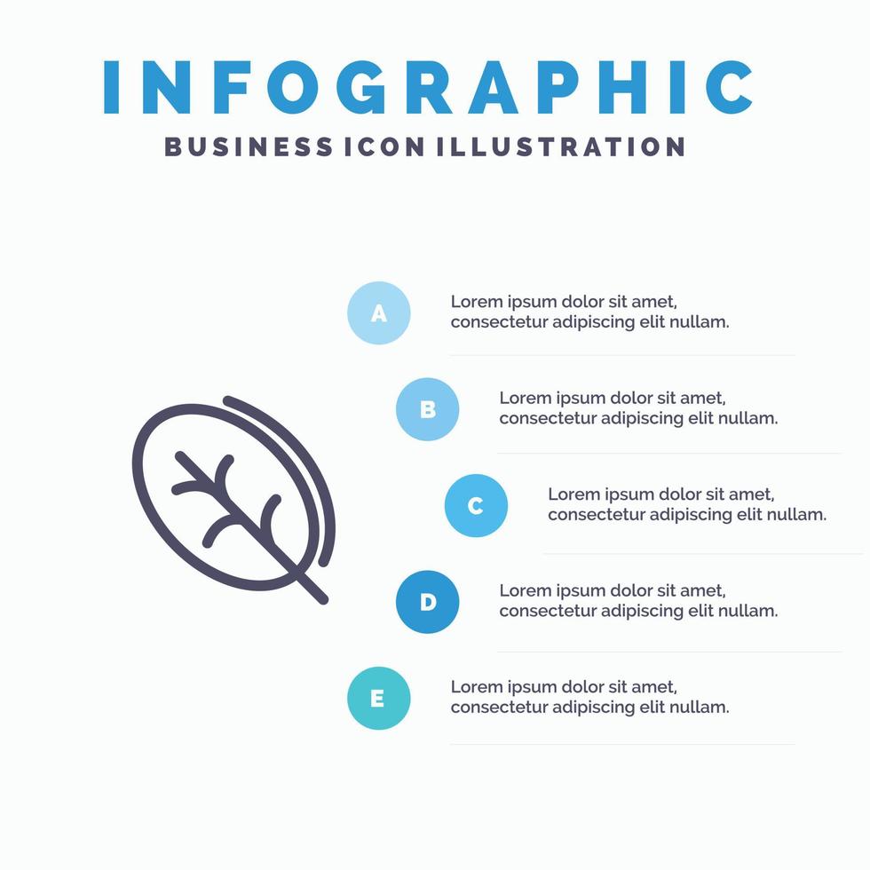 ekologi blad natur vår linje ikon med 5 steg presentation infographics bakgrund vektor