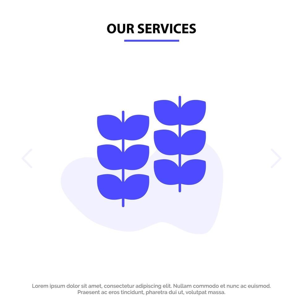 unsere dienstleistungen pflanze blatt pflanzenwachstum solide glyph icon web card template vektor