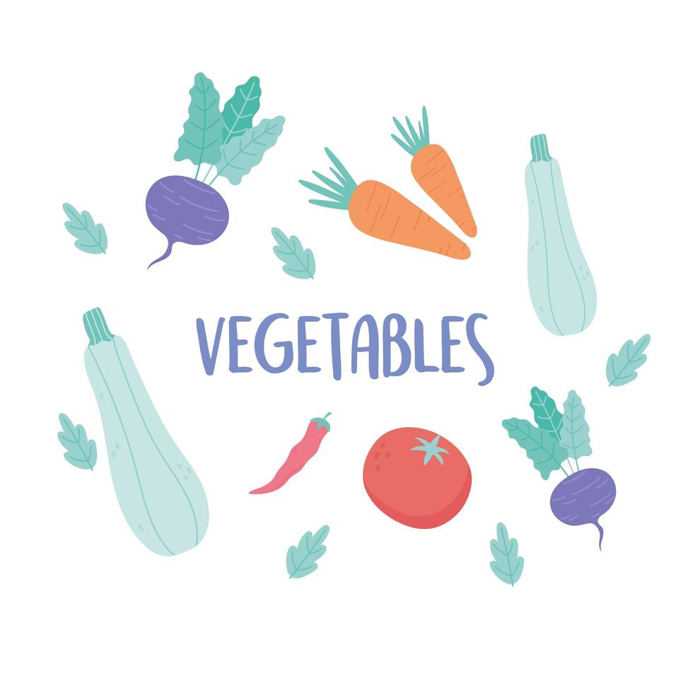 Karotten Auberginen Tomaten Rüben frisches Bio-Gemüse Lebensmittelkarte gesund vektor