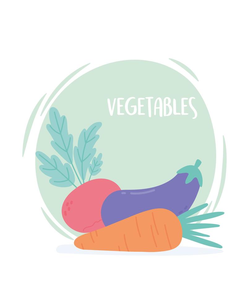 frische Karikatur Bio Gemüse Karotten Auberginen und Rettich vektor