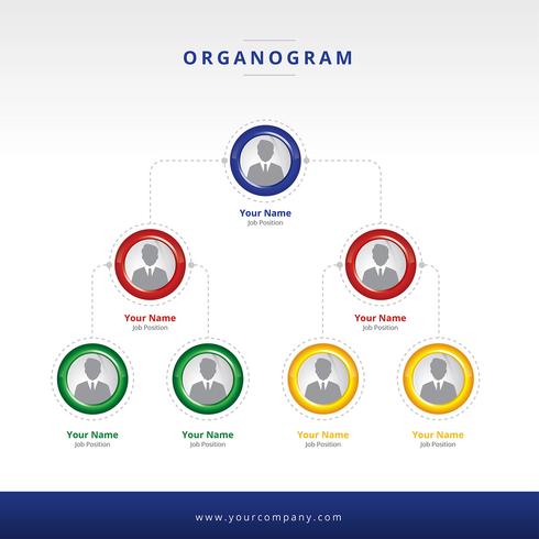 Organogramm Layout Vektor