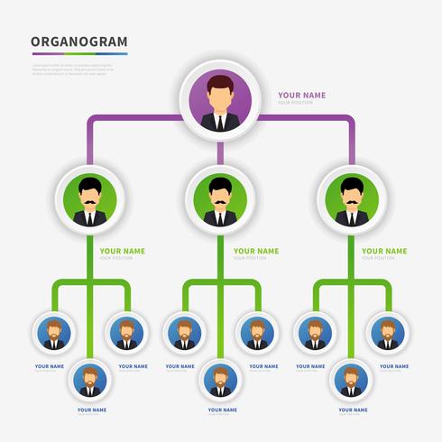 organogram modern vektor design