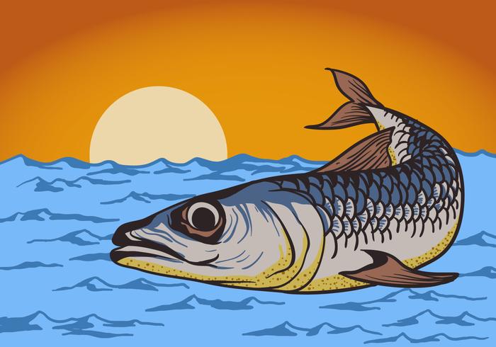 Sardine Fisch Hintergrund vektor