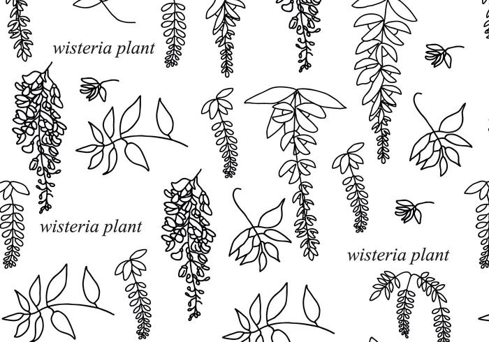 Svartvitt Wisteria Mönster vektor