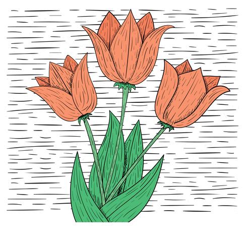 Vektor-Hand gezeichnete Blumen-Illustration vektor