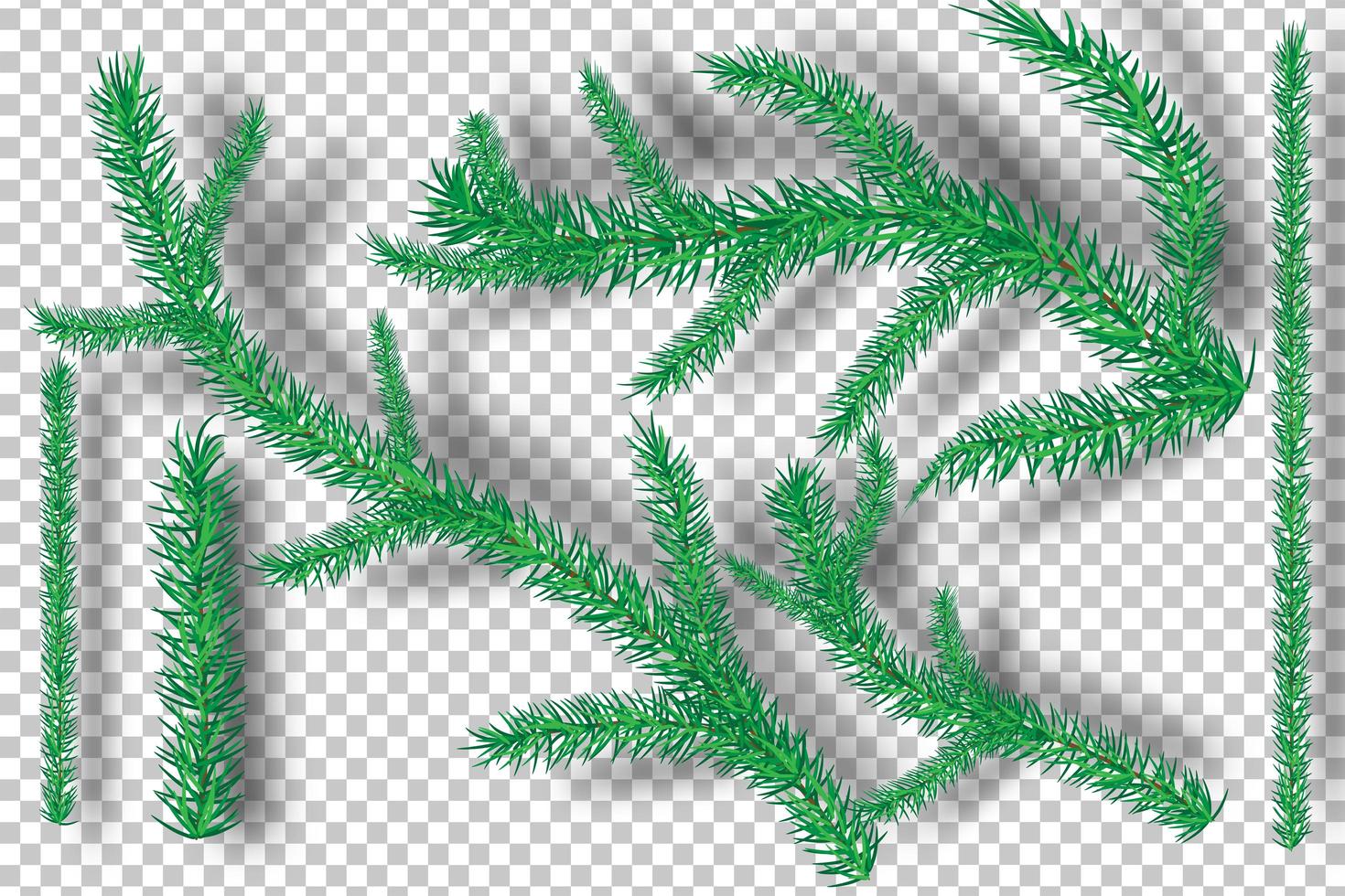 Weihnachtsbaumzweige auf Transparenzhintergrund vektor