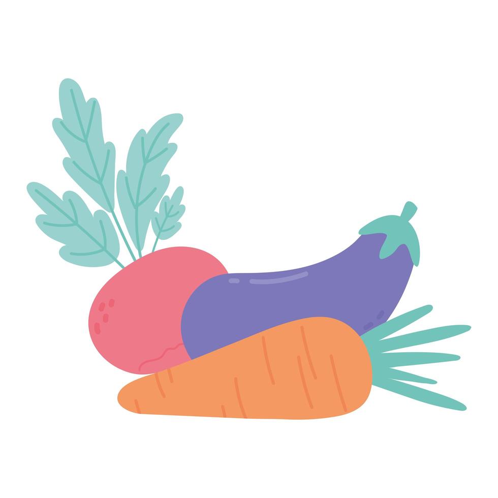 Lebensmittel frisch Radieschen Aubergine und Karotte isoliert Symbol Design weißen Hintergrund vektor