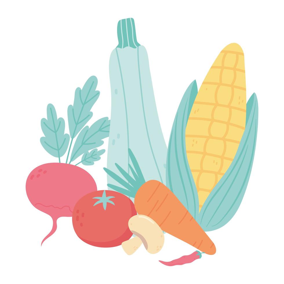 Lebensmittel frisch Mais Karotte Pfeffer Tomaten Rettich Zucchini isoliert Symbol Design weißen Hintergrund vektor