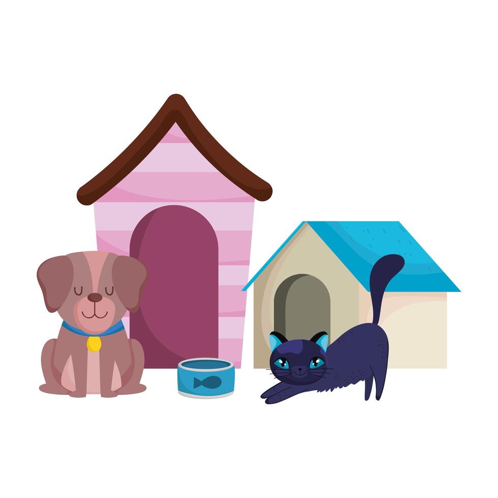 djuraffär, brun hund och katt med hus och mat djur inhemska tecknade vektor
