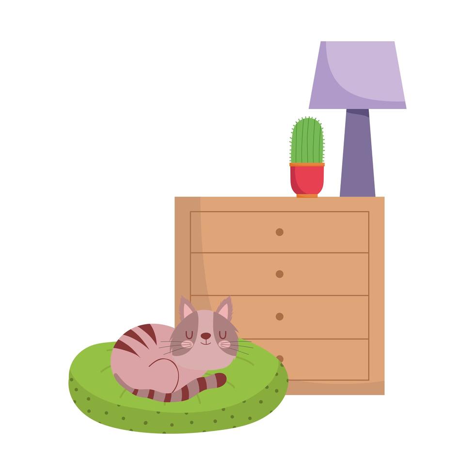 Katze schläft auf Kissenschubladen mit Kaktus und Lampe isoliertes Design vektor