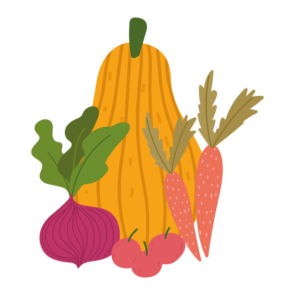 frische Gemüsefrüchte Kürbisäpfel Karotten und Rote Beete isoliertes Design vektor
