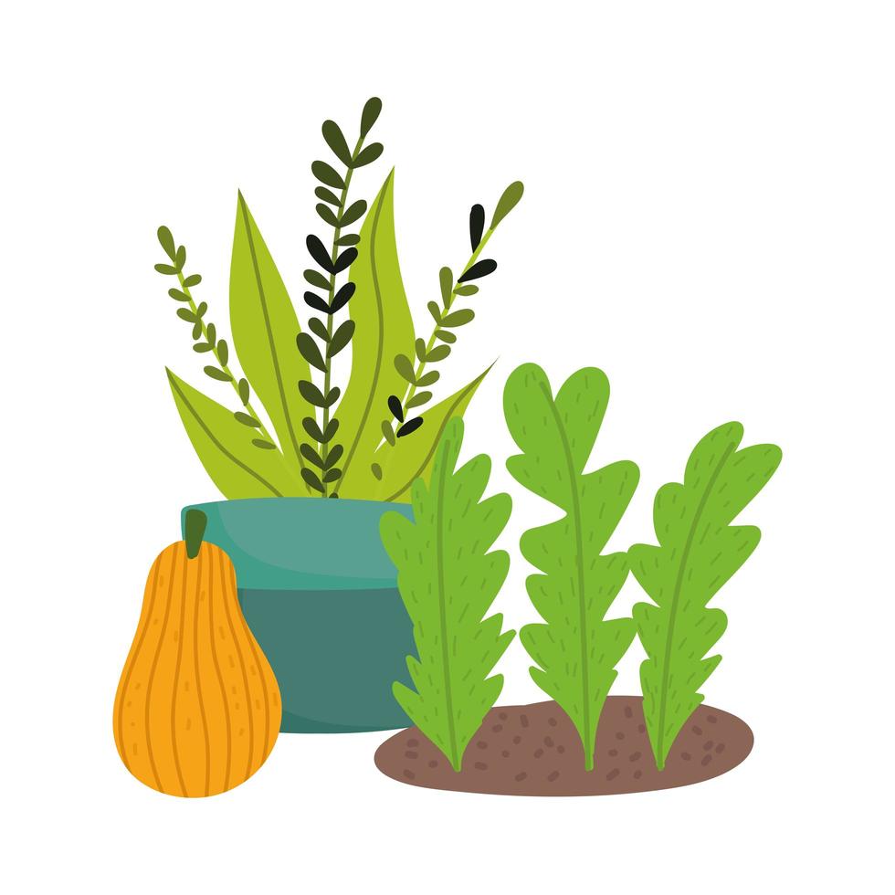 Gartenarbeit, Topfpflanzung, die Blätter und Kürbisnatur isolierte Ikonenart pflanzt vektor