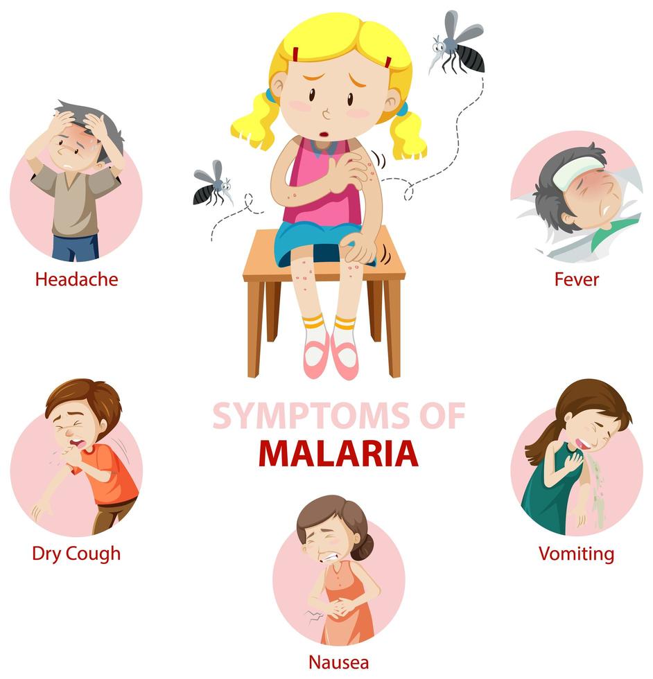 information om malariasymtom infografisk vektor