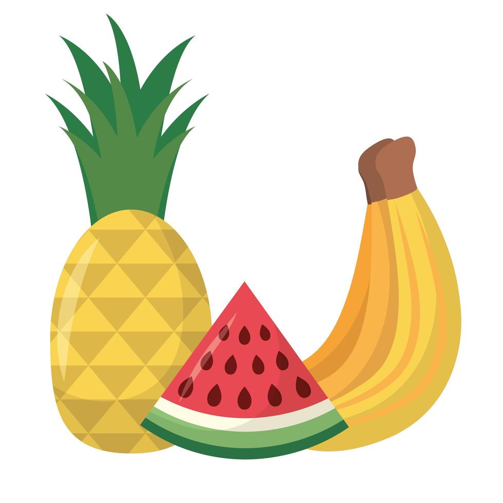 banan ananas och vattenmelon frukt vektor design