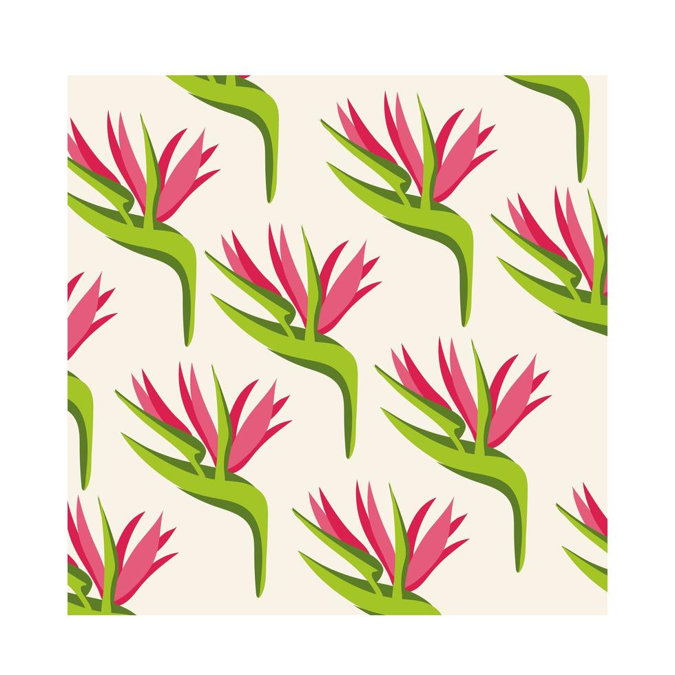 heliconias växter tropisk mönster bakgrund vektor
