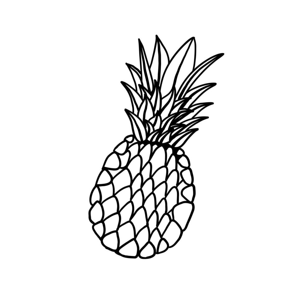 enkel ananas. vektor illustration i översikt klotter stil isolerat på vit bakgrund.