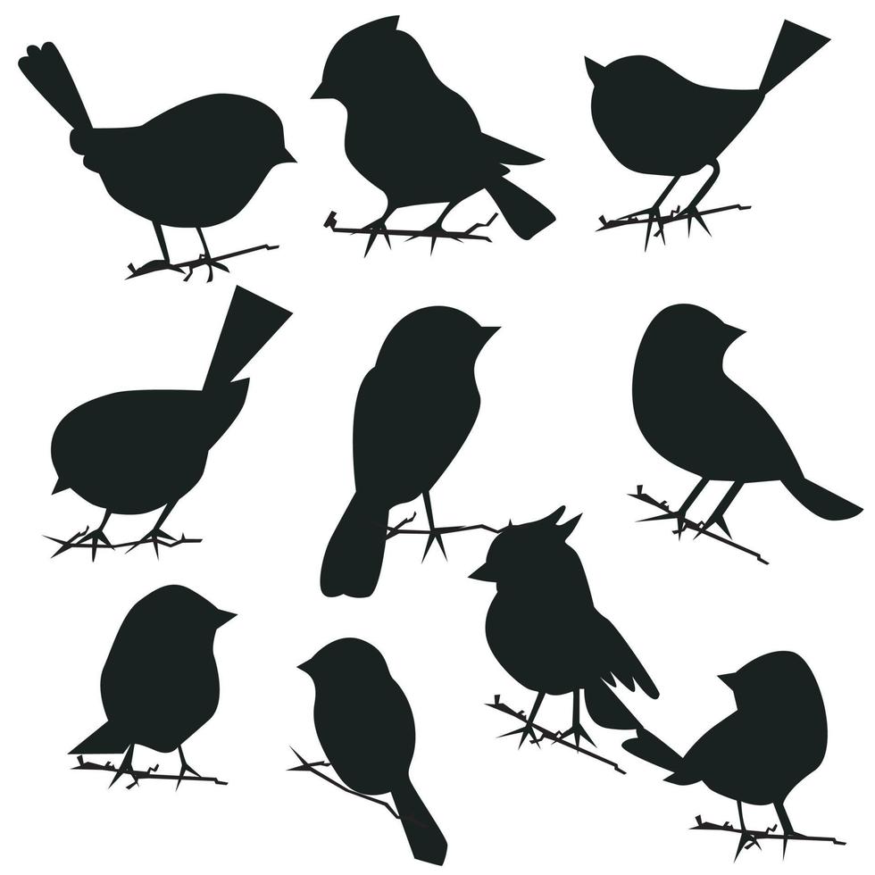 vektor uppsättning av fågel sillhouette i platt stil olika stilar och former är uppflugen på en gren, fågel vektor platt isolerat på vit bakgrund