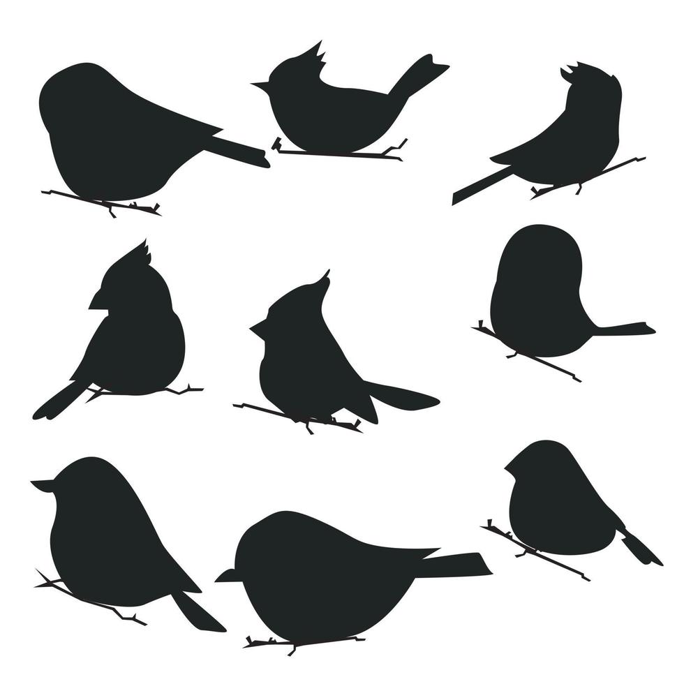 Vektorsatz Vogelsilhouette im flachen Stil Verschiedene Stile und Formen sitzen auf einem Ast, Vogelvektor flach isoliert auf weißem Hintergrund vektor