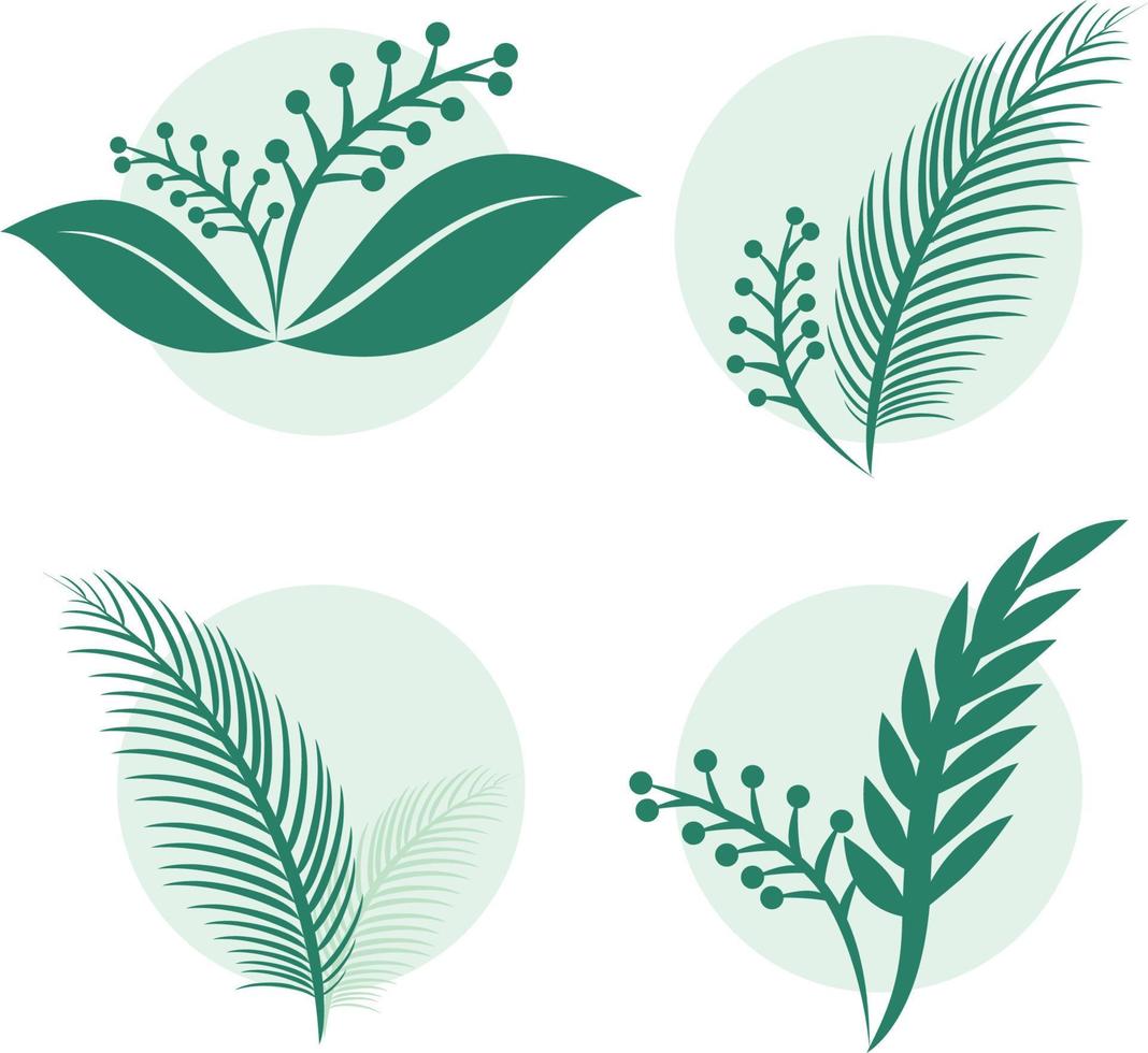 estetisk växt vektor illustration