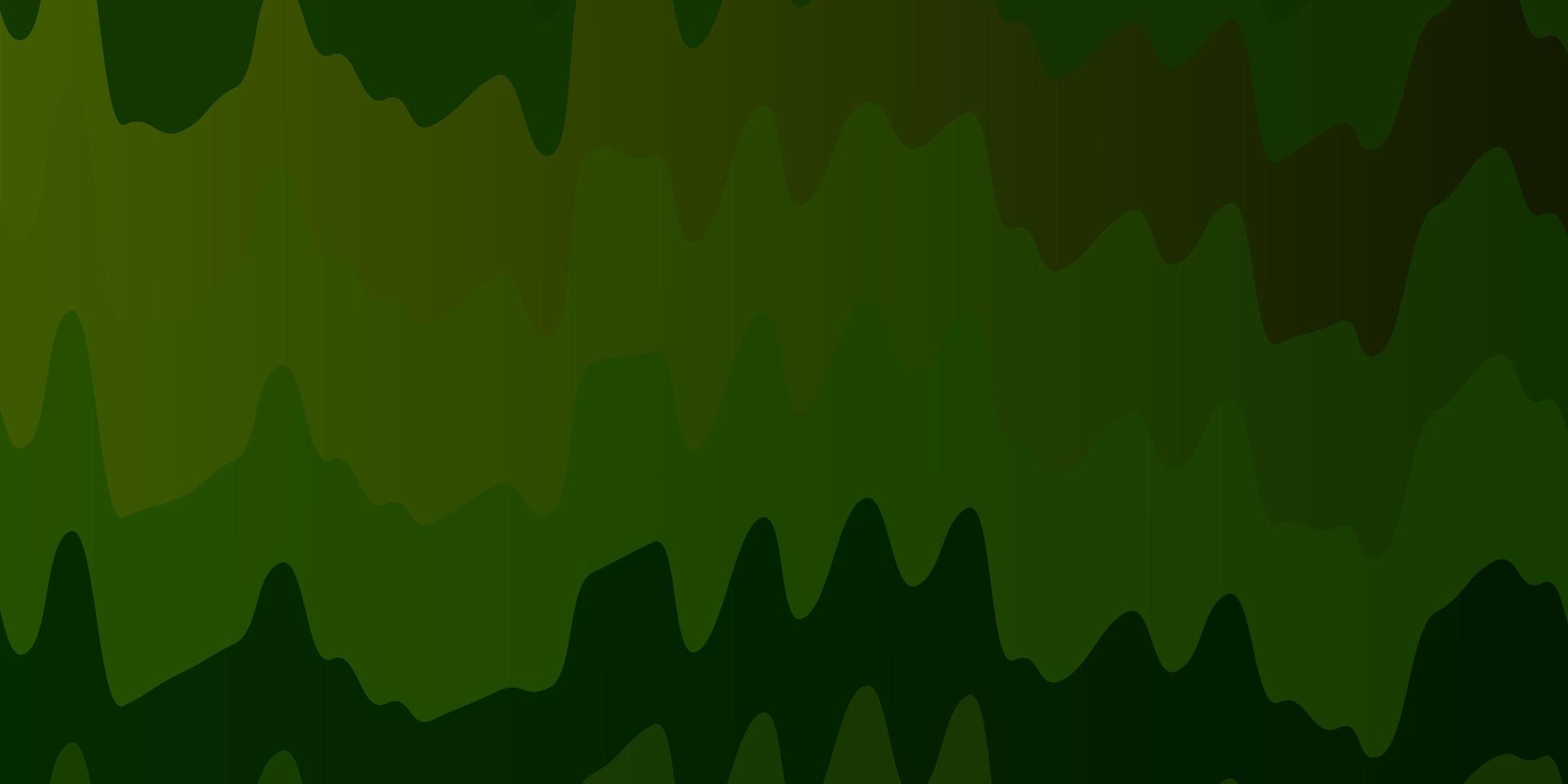 dunkelgrüne, gelbe Vektortextur mit Kreisbogen. vektor