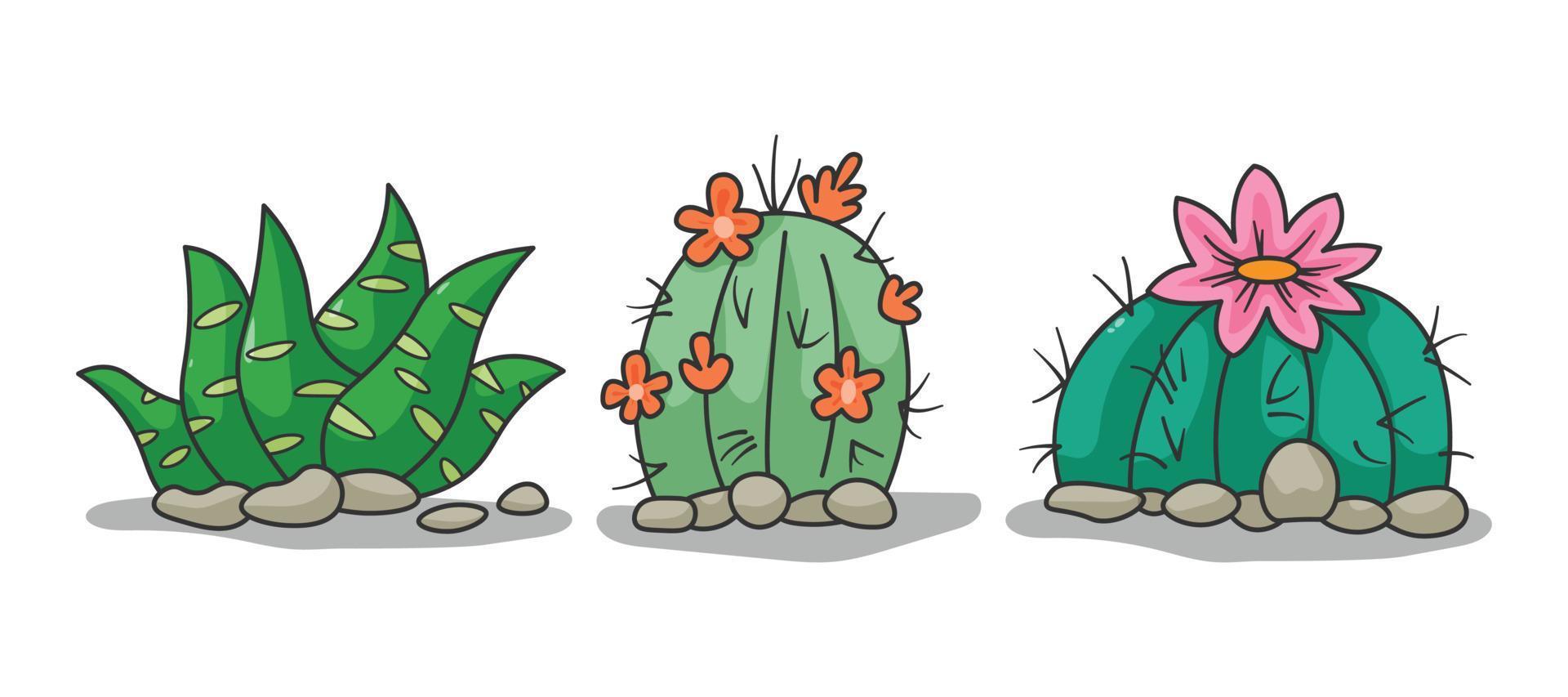 sammlungssatzillustrationsvektorgrafik des kaktus oder der kakteen im weißen hintergrund vektor
