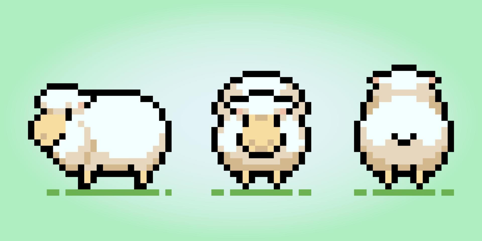 8 bit pixel får med tre se, främre, sida och tillbaka. djur- för spel tillgångar och korsa sy mönster, i vektor illustration