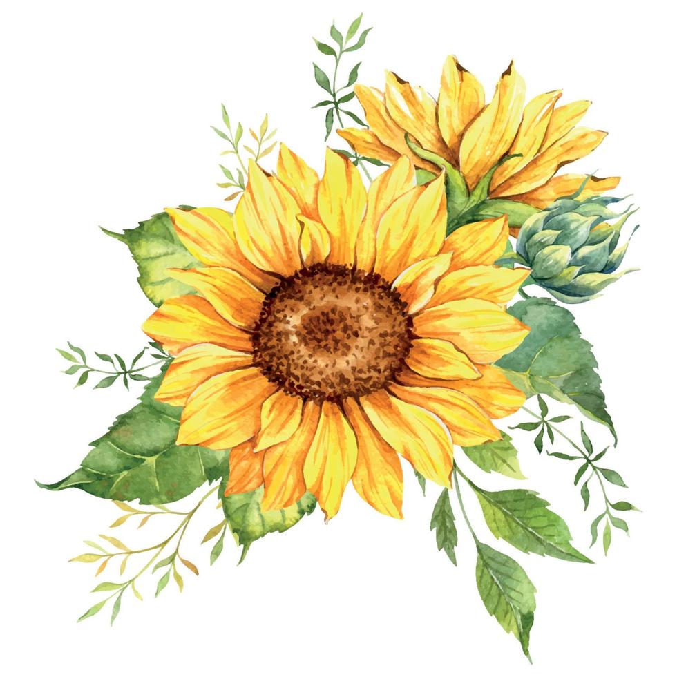 Aquarell-Sonnenblumenstrauß, handbemalte Sonnenblumensträuße mit Grün, Sonnenblumen-Blumenarrangement. hochzeitseinladungs-clipart-elemente. aquarell blumen. Botanische Zeichnung. weißer Hintergrund. vektor